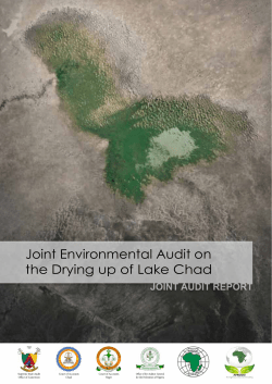 Joint Environmental Audit on the Drying up of Lake Chad