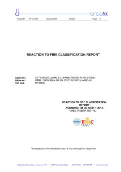 reaction to fire classification report