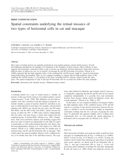 Spatial constraints underlying the retinal mosaics of two types of