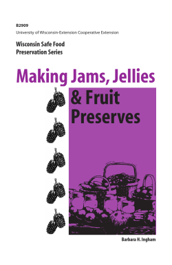 B2909 jam/jelly - The Learning Store