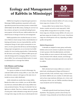 P2467 Ecology and Management Of Rabbits in Mississippi
