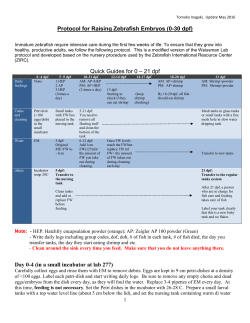 Protocol for Raising Zebrafish Embryos (0-30 dpf)