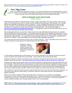 Don`s Bug Corner Don`s Bug Corner