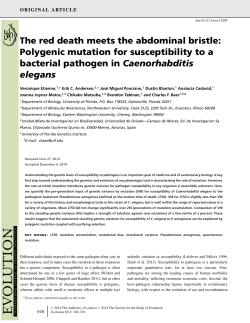 The red death meets the abdominal bristle: Polygenic mutation for