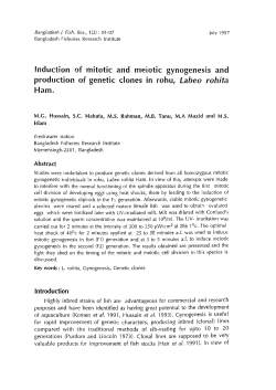 Induction of mitotic and meiotic gynogenesis and production of
