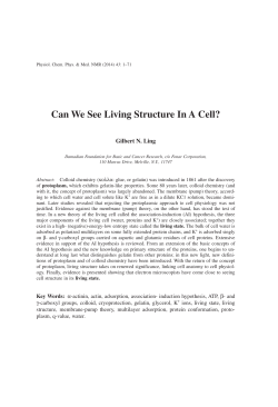 Can We See Living Structure In A Cell?