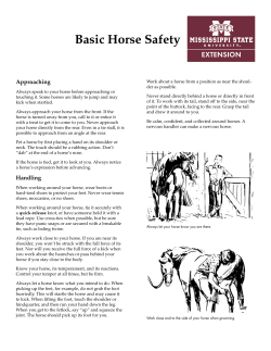 Basic Horse Safety - Mississippi State University Extension Service