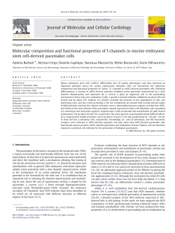 Molecular composition and functional properties