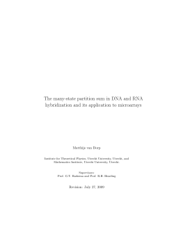 The many-state partition sum in DNA and RNA hybridization and its