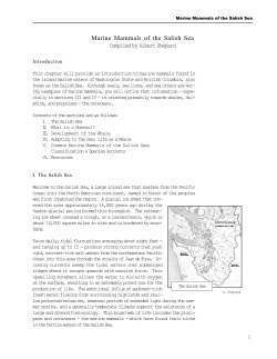 Marine Mammals of the Salish Sea