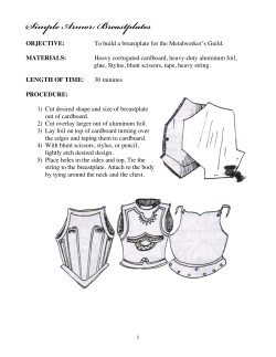 Armor/Helmet - Turramurra High School