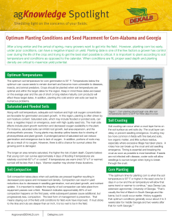Optimum Planting Conditions and Seed Placement