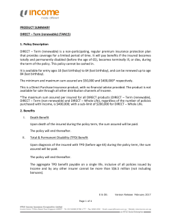 PRODUCT SUMMARY DIRECT &ndash; Term (renewable) (TAN15) 1