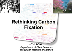 Rethinking Carbon Fixation - Weizmann Institute of Science