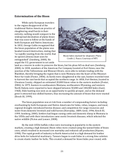 Extermination of the Bison