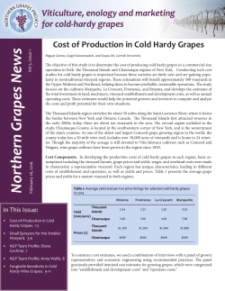 Cost of Production in Cold Hardy Grapes