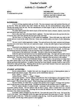 Teacher`s Guide Activity 2 - Grades 6th - 8th
