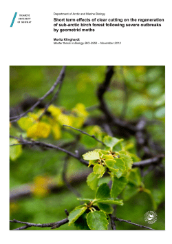 Short term effects of clear cutting on the regeneration of sub