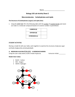 Biology 165 Lab Activity Sheet 2 Macromolecules