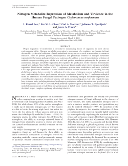 Nitrogen Metabolite Repression of Metabolism and