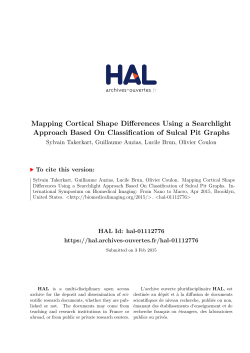 Mapping Cortical Shape Differences Using a Searchlight