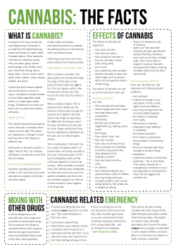 Cannabis - Your Room
