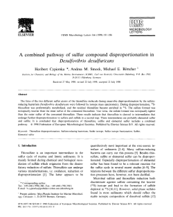A combined pathway of sulfur compound disproportionation in