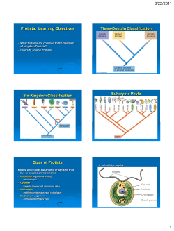Cha 25 Protista