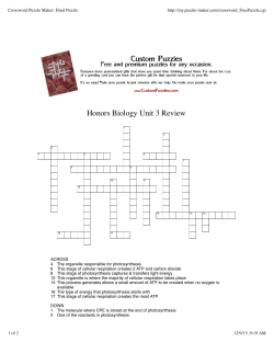 Honors Crossword