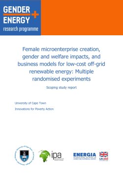 Female microenterprise creation, gender and welfare