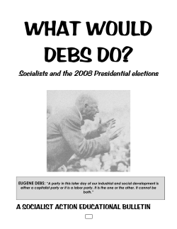 Socialists and the 2008 Presidential elections