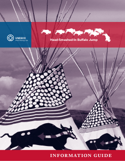 Head-Smashed-In Buffalo Jump Information Guide