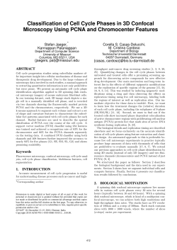 Classification of cell cycle phases in 3D confocal