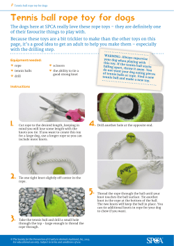 Tennis ball rope toy for dogs