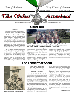 Arrowhead The Silver Arrowhead The Silver