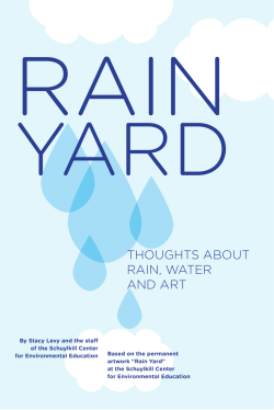 THOUGHTS ABOUT RAIN, WATER AND ART