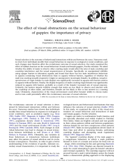 Example lab report on guppy behavior