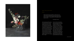 Julie Joyce - Ori Gersht