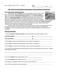LAB: Observing the Relationship between Photosynthesis