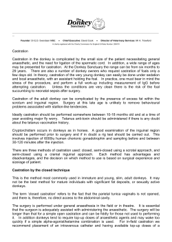 Castration Castration in the donkey is complicated by the small size