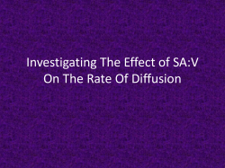 Investigating The Effect of SA:V On The Rate Of Diffusion