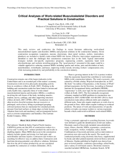 Critical Analyses of Work-Related Musculoskeletal Disorders and