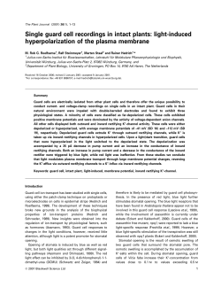 Single guard cell recordings in intact plants: light-induced