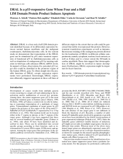 DRAL Is a p53-responsive Gene Whose Four and a Half LIM