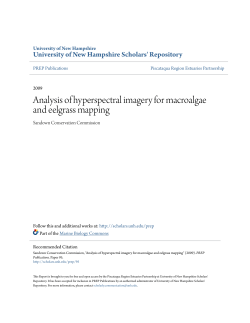 Analysis of hyperspectral imagery for macroalgae and eelgrass