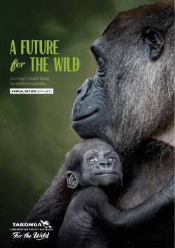 2015 TCSA Year in Review