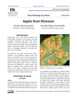 Apple Rust Diseases - Plant Pathology