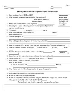 Photosynthesis and Cell Respiration Quest Review Sheet