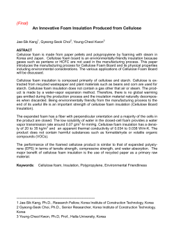 An Innovative Foam Insulation Produced from Cellulose