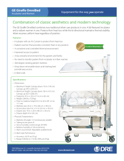 Sales Sheet